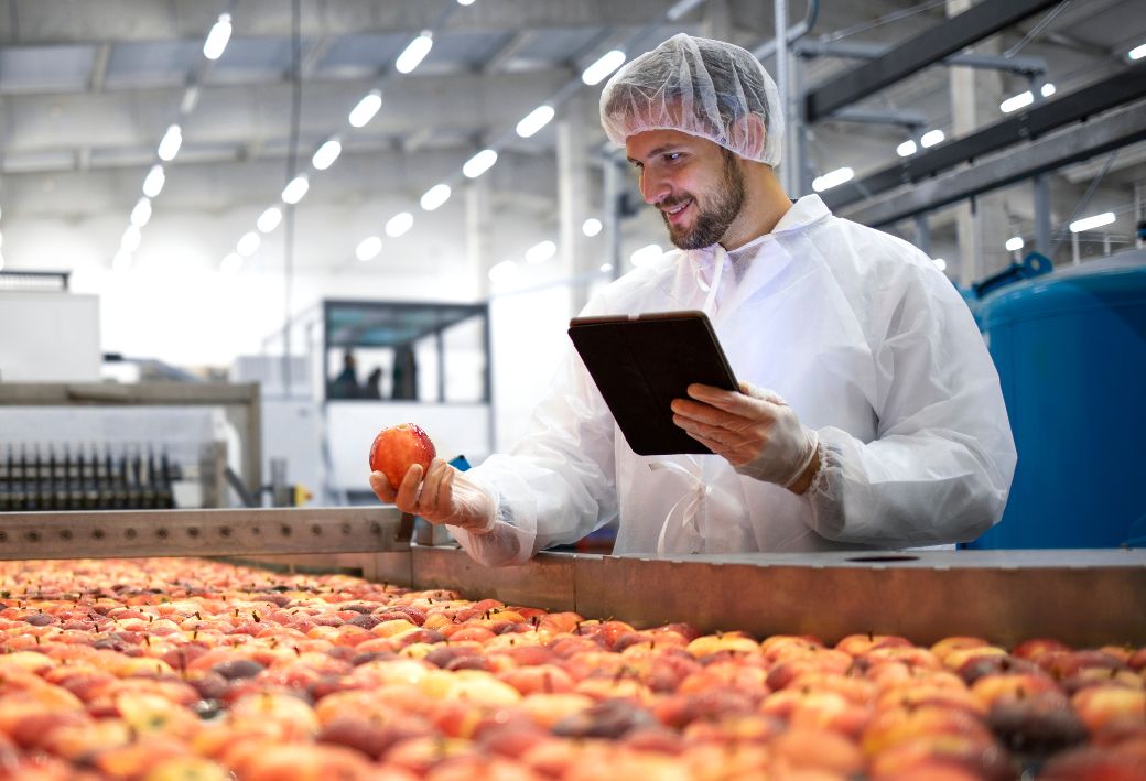 elelmiszerfeldolgozas-palyazat